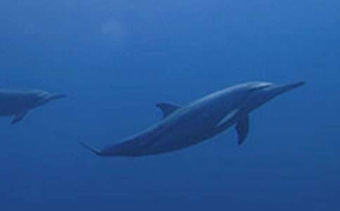 �������������400�֣�ͨ��12ƪ��