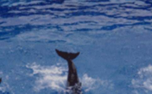 �������ĸ��~