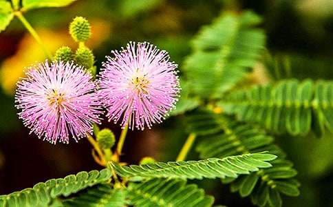 ���߲��^������