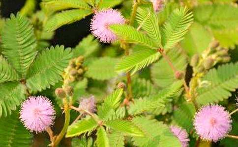 �^�캬�߲ݵ�С�W(xu��)����600��5ƪ