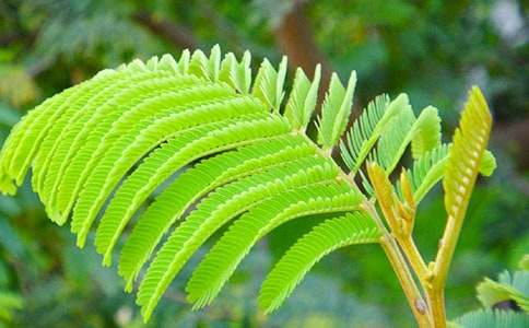 �^�캬�߲ݵ�С�W(xu��)����(����10ƪ)