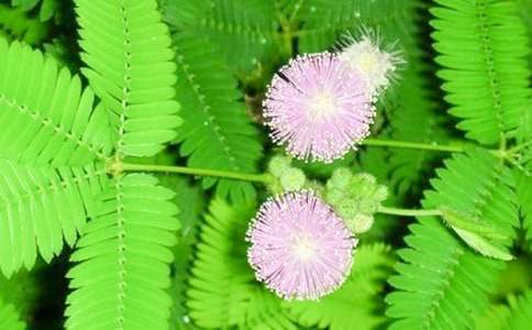 �^�캬�߲�����300�֣�ͨ��27ƪ��