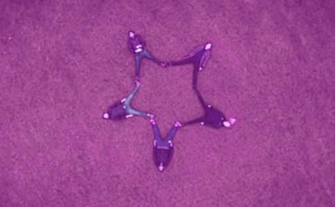 描寫好友的500字作文