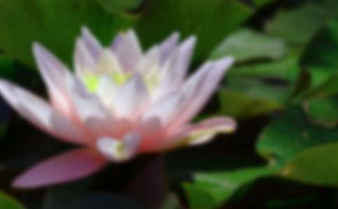 �Ґۺɻ�����700��