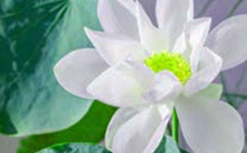 ���ɻ������Ľ̰������x12ƪ��