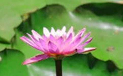 �ɻ��n�ľ�Ʒ�̰��O(sh��)Ӌ(j��)