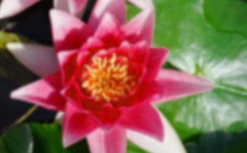 �ɻ��ɾ�����