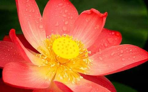 �ɻ����ă�(y��u)��̰�