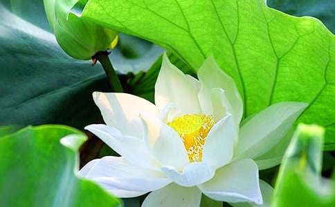 �P(gu��n)�ںɻ��ĳ�һ����