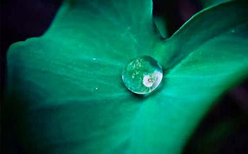 ���꼉(j��)���~�A�A�̰������x14ƪ��