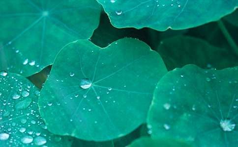 ���~�A�A�̌W(xu��)�O(sh��)Ӌ