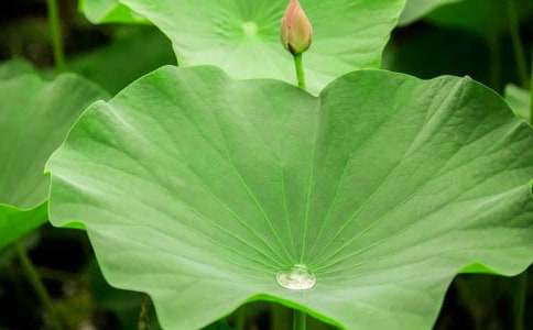 С�W�n�ġ����~�㡷�̰�