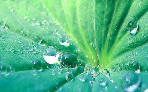 һ�����~�а��Z�Խ̰�