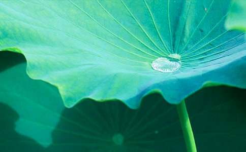 �����~�A�A����(y��u)��̌W(xu��)�O(sh��)Ӌ(j��)�ķ���