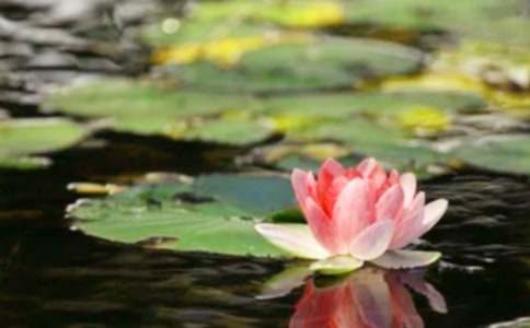 �ҿ�����ƽ����400�֣����x6ƪ��