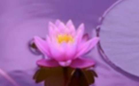 ���C��Ԓ�}������