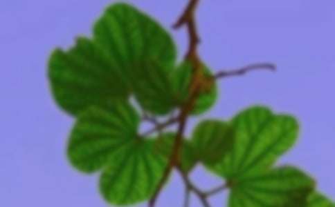 ���C��Ԓ�}����