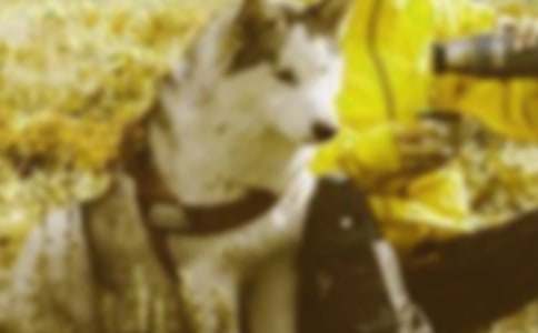 ���c��(d��ng)����C��̎������