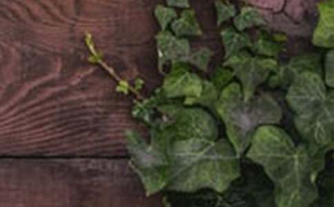 ���������C��Ԓ�}������