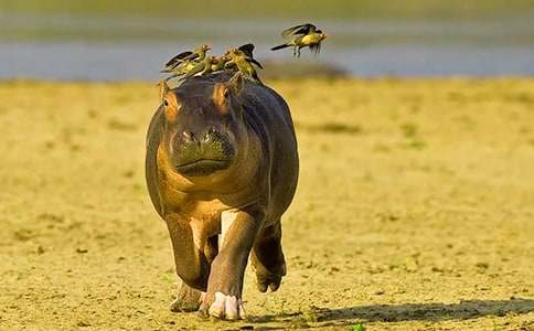 ���R��Ԣ�Թ���