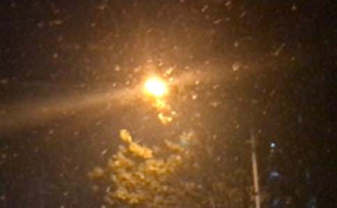 ����õ��˺�ҹ��(y��u)������