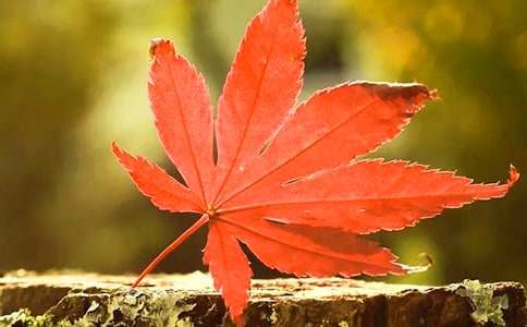 ��ɽ�t�~���ľ��x