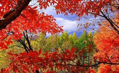 ��ɽ�t�~400�����ģ����x11ƪ��