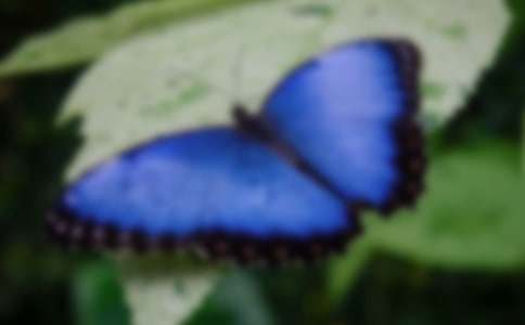 ���᡿�^���������