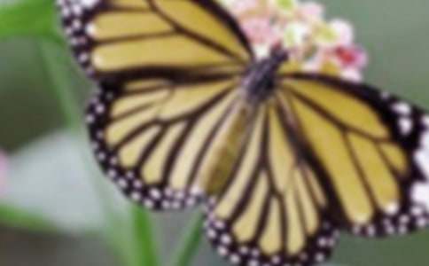 Photoshop�ϳɽk������ǰ�w��ĺ����̳��f(shu��)��