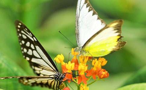 С���Z(y��)�ԡ���ֻ��������(y��u)��̰������x12ƪ��