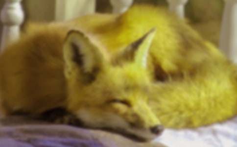 ��(sh��)�õĽƻ��ĺ�؂����7ƪ