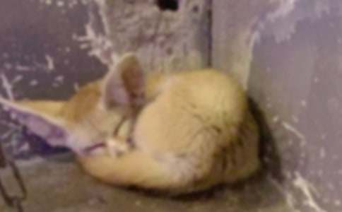 ��؂�͞��f�Ľ̌W�O(sh��)Ӌ