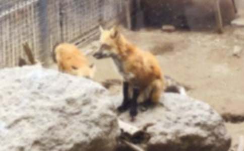 ��С��؂�����g(sh��)�̰������x12ƪ��