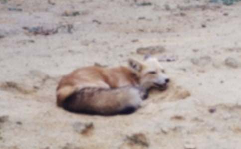 �{������؂��¹����