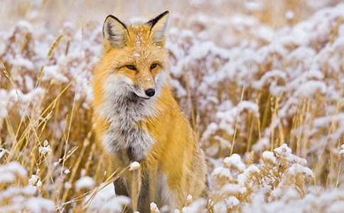 ���Ԣ�Թ��½̰�������؂�͞��f�������x10ƪ��