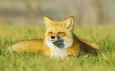 С���Z�ԃ�(y��u)�|�n�̰�����؂�N�ˡ�