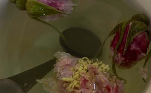 һ���ջ������ģ�ͨ��28ƪ��