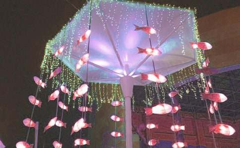 ���l(xi��ng)�Ļ���