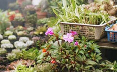 寒假花店打工心得體會