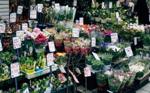 ��W(xu��)�����̘I(y��)Ӌ(j��)����(sh��)