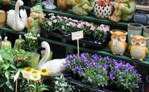 花店創(chuàng)業(yè)計劃書(精選15篇)