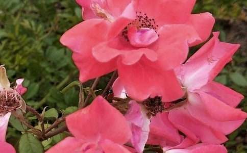 �_�����еĻ����������