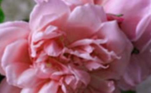 �_��ӛ����̎��������