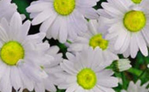 �_��ӛ���еĻ������ģ�ͨ��15ƪ��