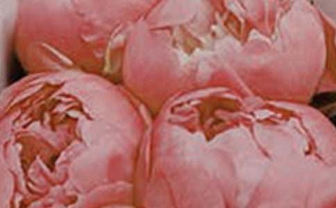 ����\��Photoshop�����������Ļ�����