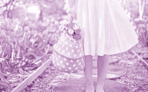 驕傲的玫瑰花童話作文【推薦】