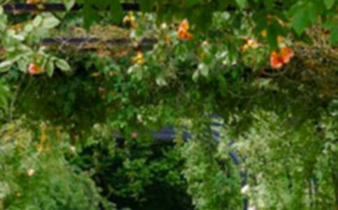 ���꼉(j��)���˵Ļ��@2017ͬ������(x��)