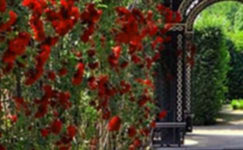 �����˵Ļ��@����Ʒ�̰��O(sh��)Ӌ