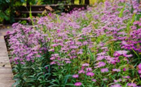 ���l�Ļ��@�󡷽̰�