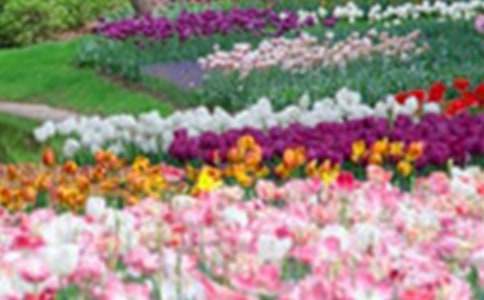 �������Ļ��@����400�֣����x31ƪ��